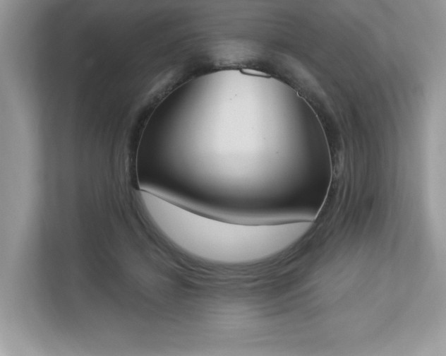 X0000112860452200908211324