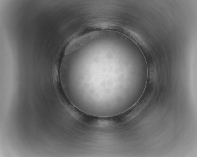 X0000112860453200908211324