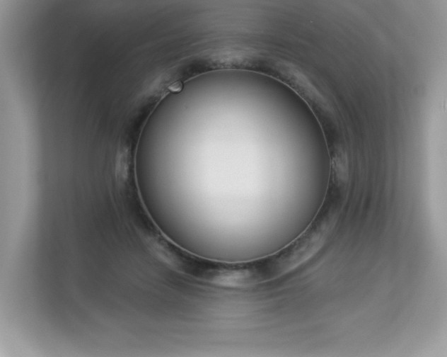 X0000112860458200908211324