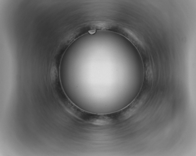X0000112860459200908211324