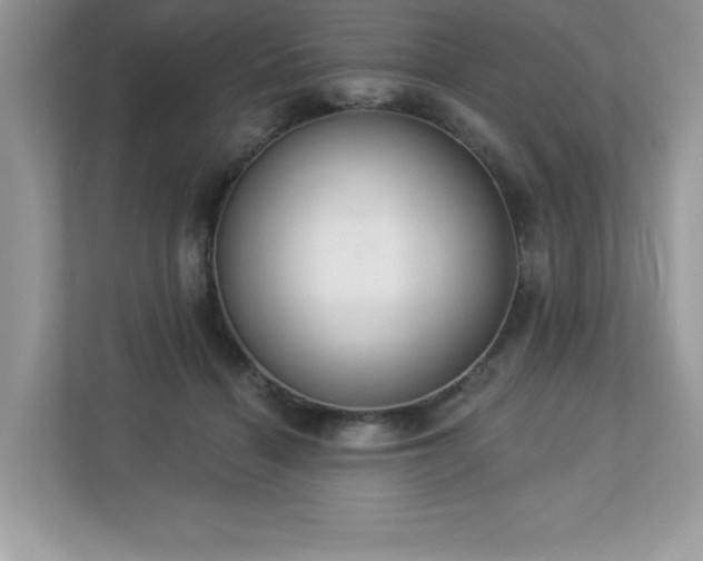 X0000112860460200908211324