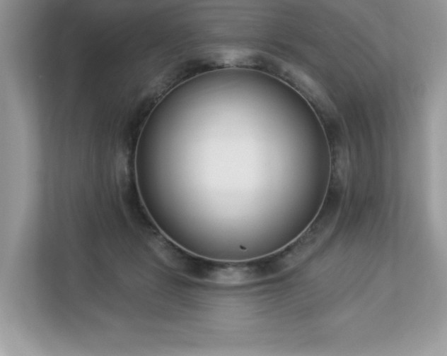 X0000112860461200908211324