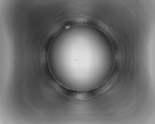 X0000112860462200908211324