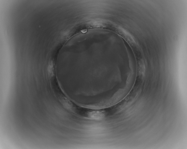 X0000112860465200908211324