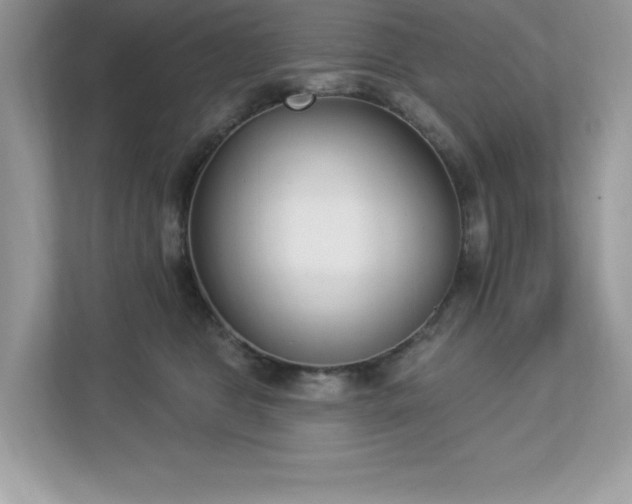X0000112860469200908211324