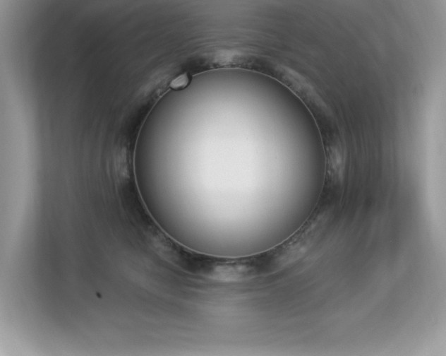 X0000112860470200908211324