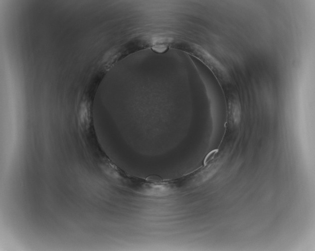 X0000112860475200908211324