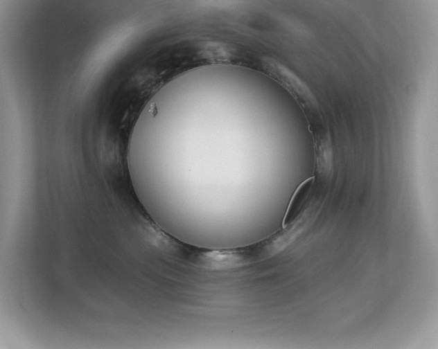 X0000112860477200908211324