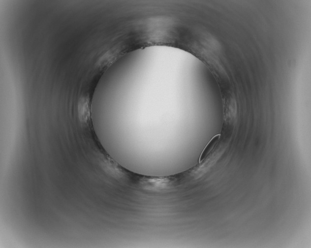 X0000112860478200908211324