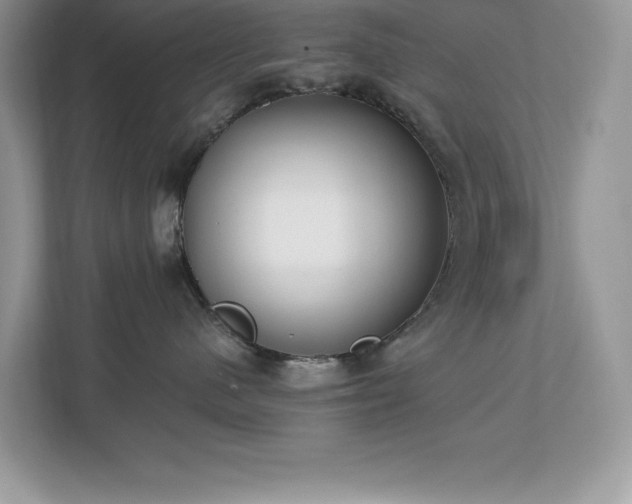 X0000112860480200908211324
