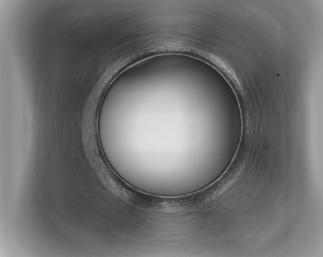 X0000112860481200908211324