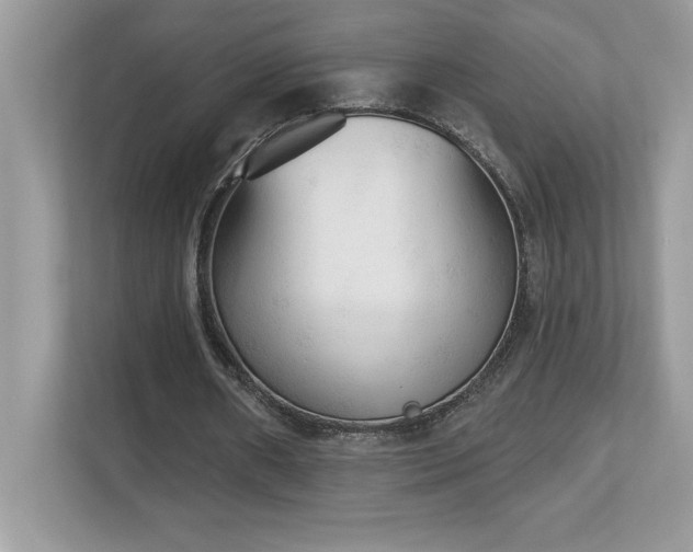 X0000112860482200908211324