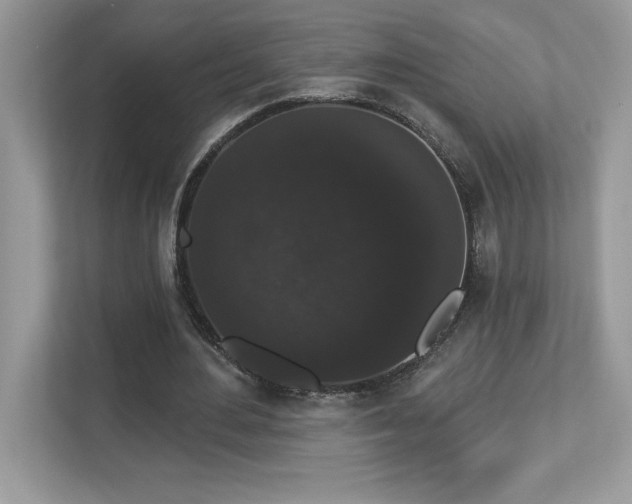 X0000112860484200908211324