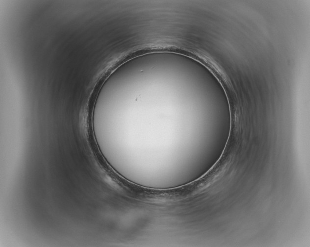 X0000112860485200908211324