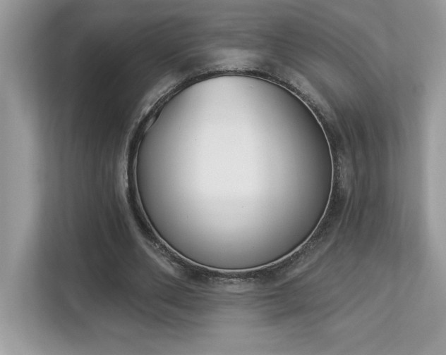 X0000112860486200908211324