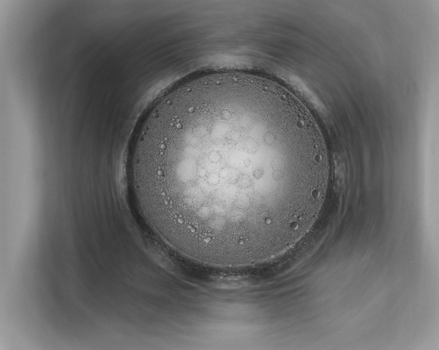 X0000112860487200908211324