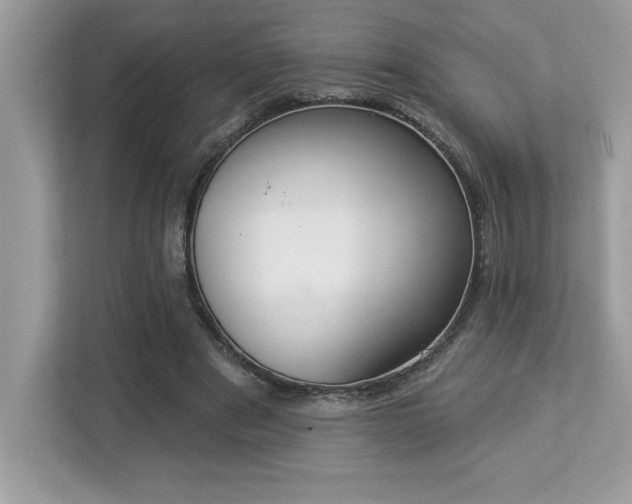 X0000112860489200908211324