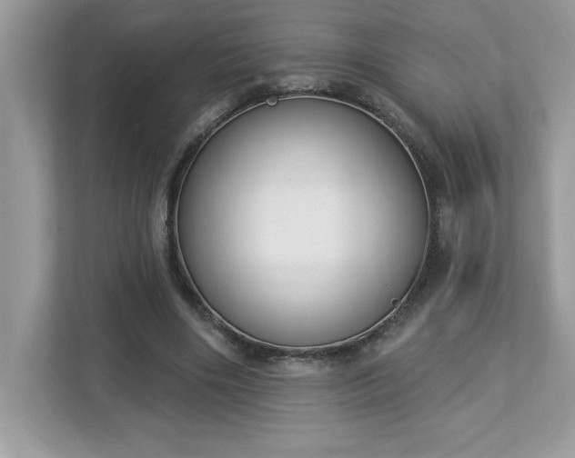X0000112860490200908211324