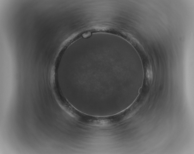 X0000112860492200908211324