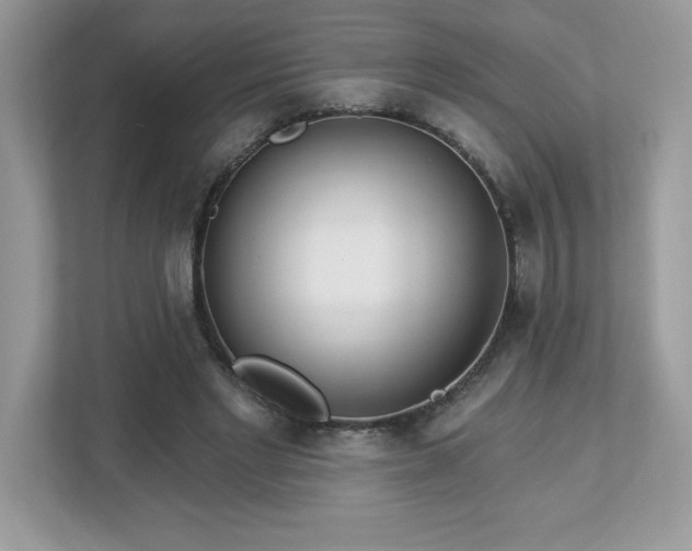 X0000112860493200908211324