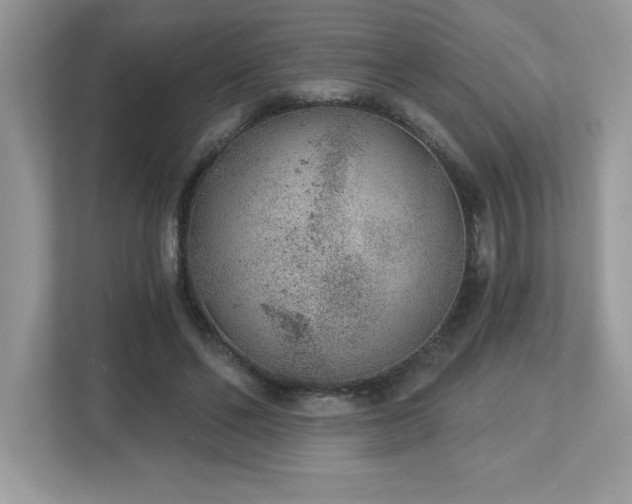 X0000112860494200908211324