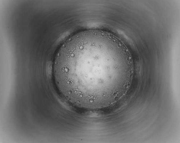 X0000112860495200908211324