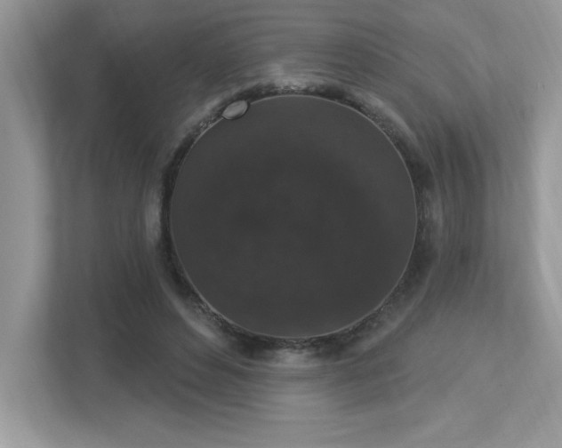 X0000112860496200908211324