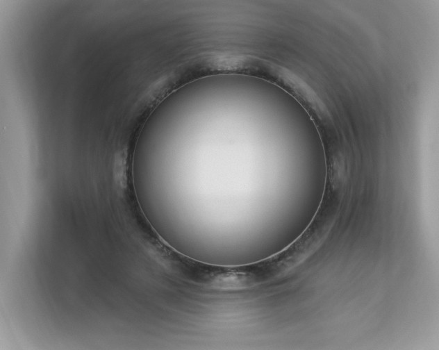 X0000112860497200908211324
