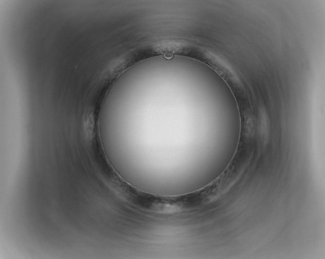 X0000112860498200908211324
