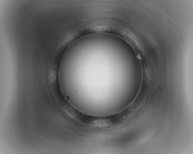 X0000112860499200908211324