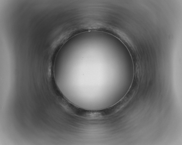X0000112860501200908211324
