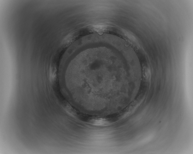 X0000112860507200908211323
