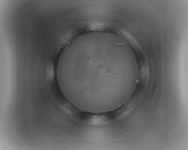 X0000112860508200908211323