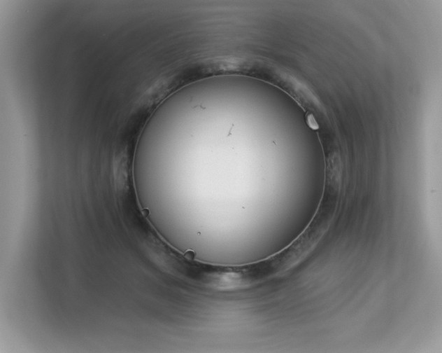X0000112860509200908211323
