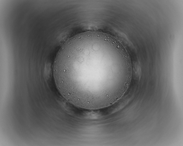 X0000112860511200908211323