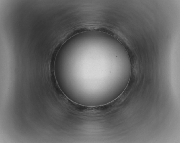 X0000112860512200908211323