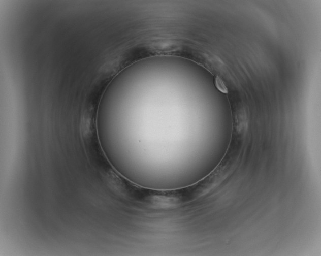 X0000112860515200908211323