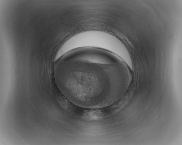 X0000112860517200908211323