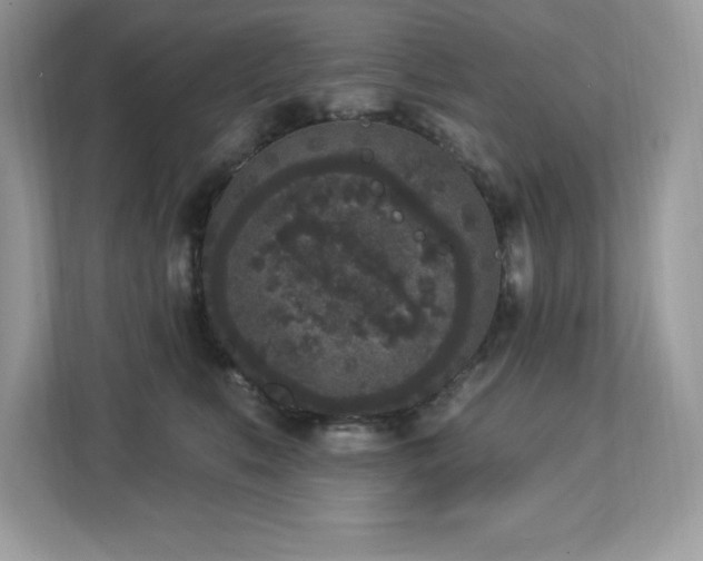 X0000112860519200908211323