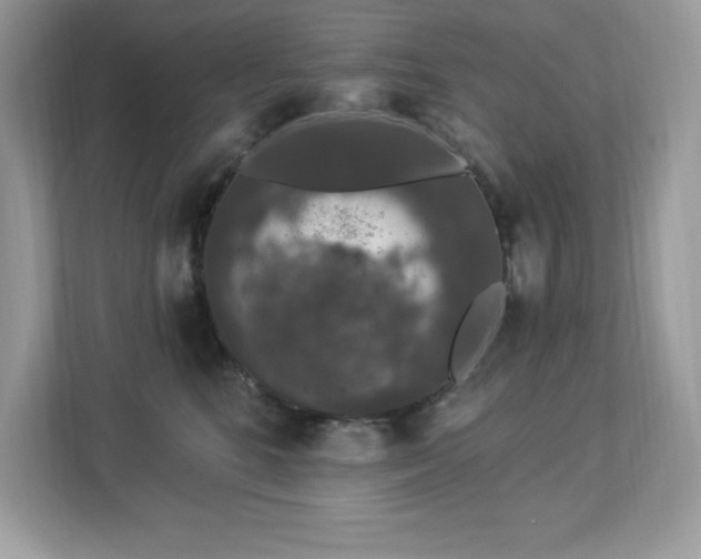 X0000112860520200908211323