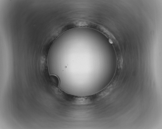 X0000112860521200908211323