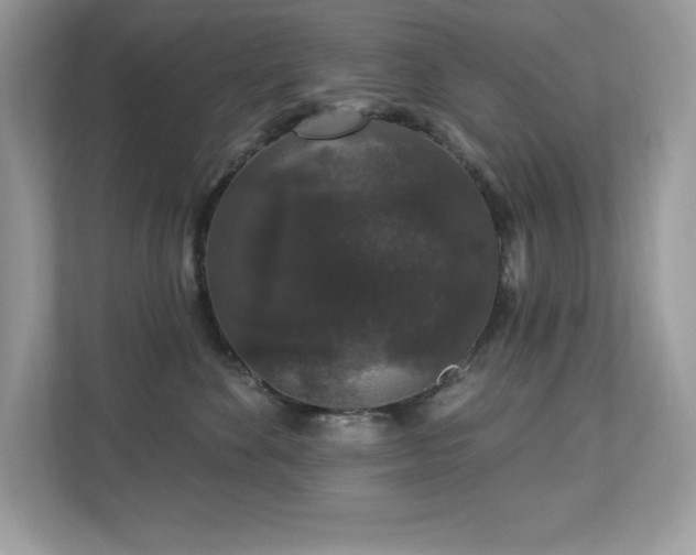 X0000112860524200908211323