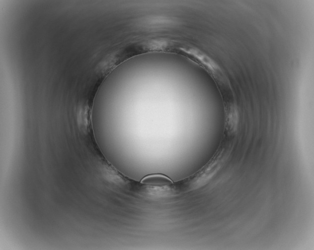 X0000112860525200908211323