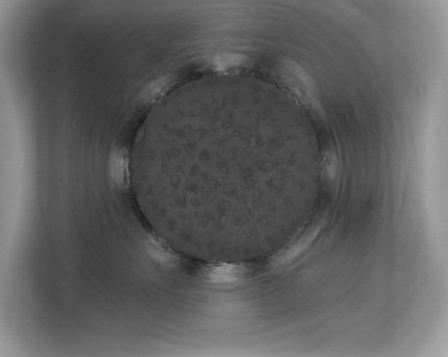 X0000112860527200908211323