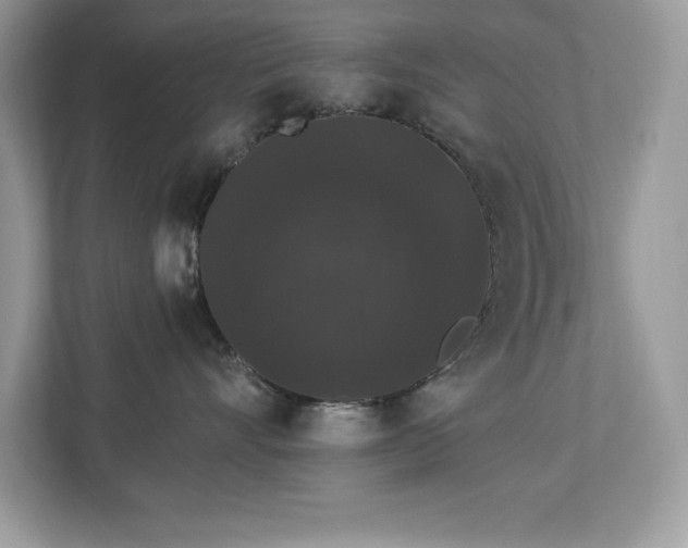 X0000112860528200908211323