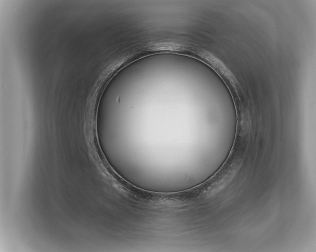 X0000112860529200908211323