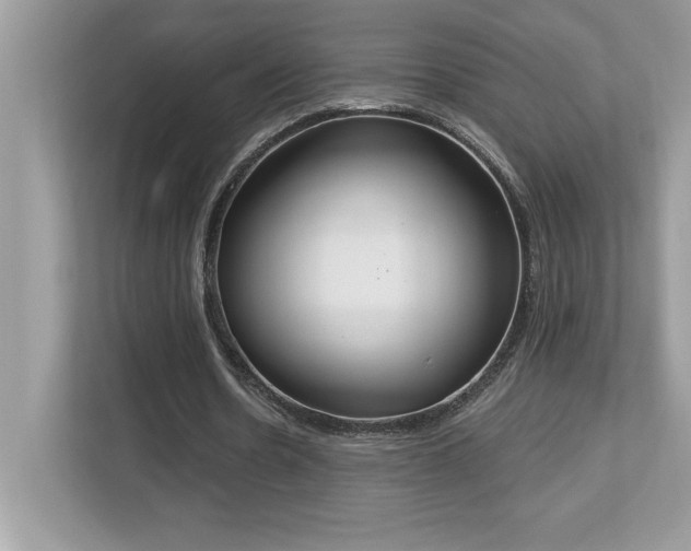 X0000112860530200908211323
