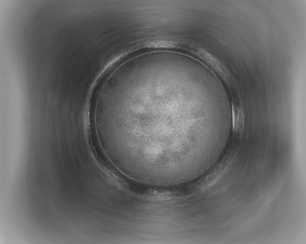 X0000112860531200908211323