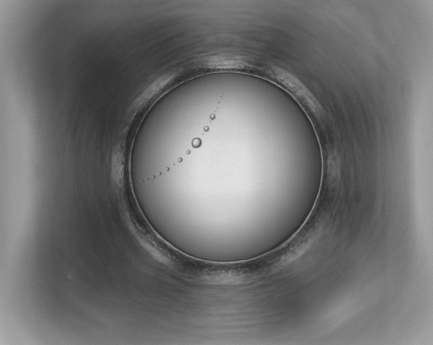 X0000112860533200908211323