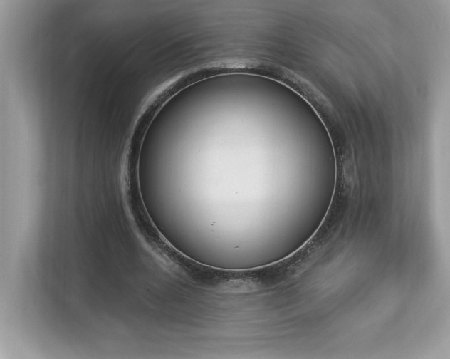 X0000112860536200908211323